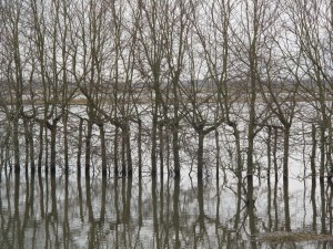 Rituelen begeleiden